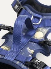 Full Coverage Dog Harness - Celestial Night Luxe